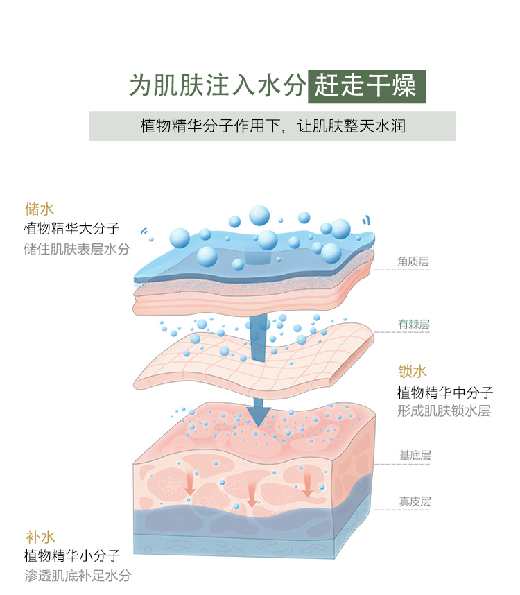 玫德丝度假系列润唇膏，15ml---青柠绿---东方香梨味_06.jpg